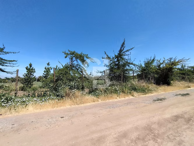 Parcela Lo Arcaya/Chicureo