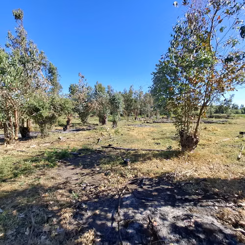 EN VENTA PARCELAS SECTOR SANTA ROSA - NINQUIHUE