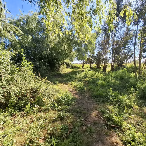 EN VENTA PARCELAS SECTOR SANTA ROSA - NINQUIHUE