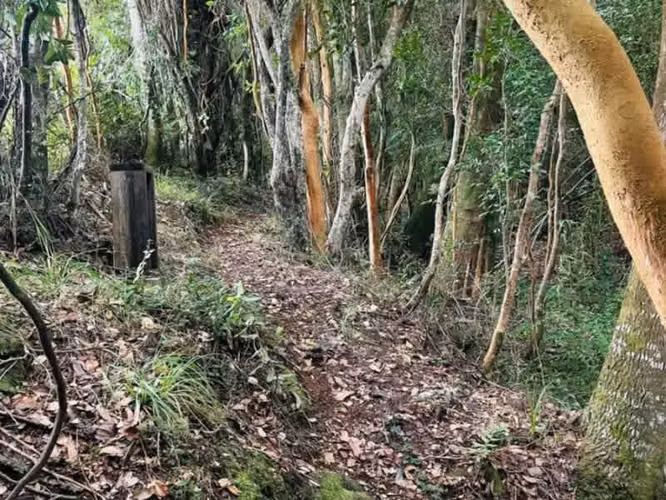 Parcela A ORILLAS DE RIO MAULLIN