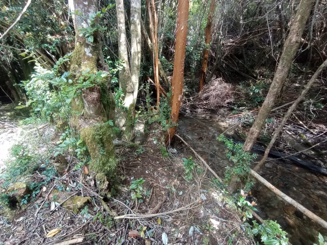 Chonchi, Nalhuitad se vende 1 hectárea colindante con Río y vista panorámica