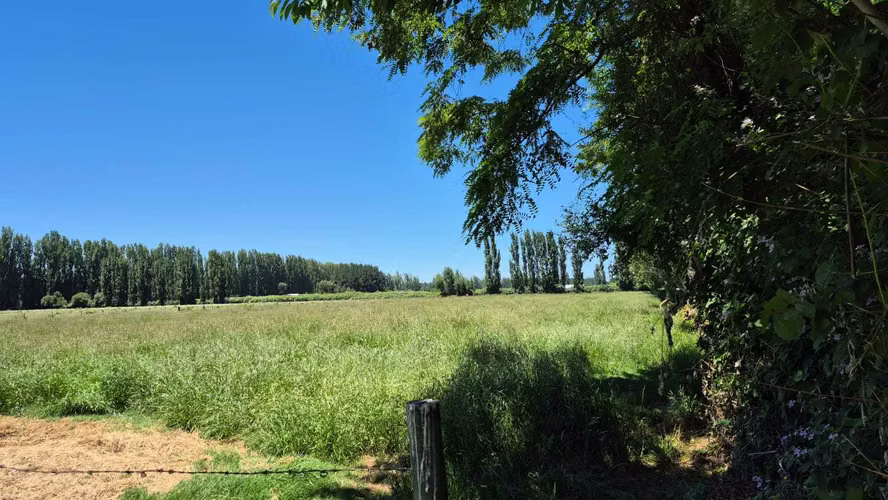 Se Vende Parcelas, 5.000 Mt2, Camino El Peral (132185)