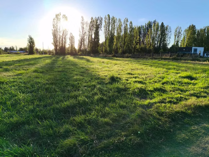 Se Vende Parcelas, 5.000 Mt2, Camino El Peral (132185)