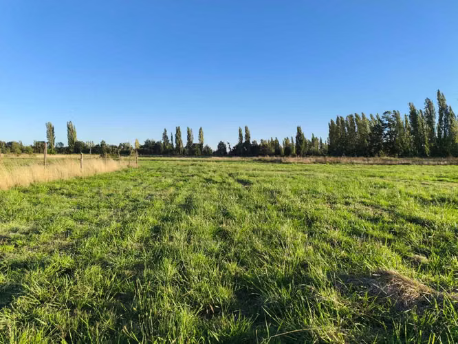 Se Vende Parcelas, 5.000 Mt2, Camino El Peral (132185)