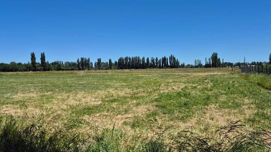 Se Vende Parcelas, 5.000 Mt2, Camino El Peral (132185)