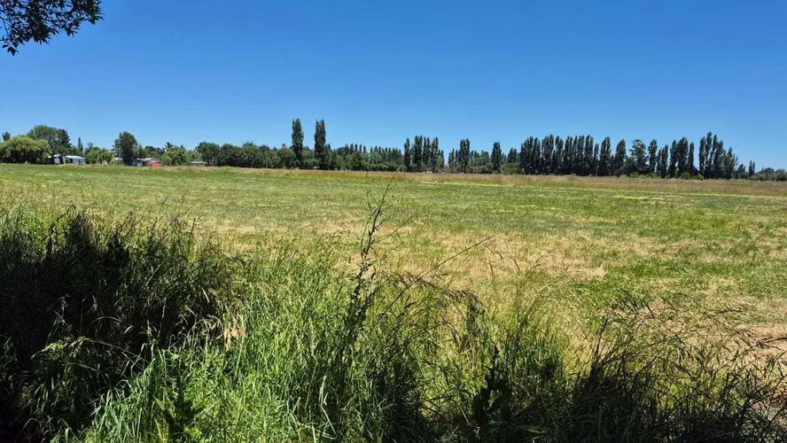Se Vende Parcelas, 5.000 Mt2, Camino El Peral (132185)