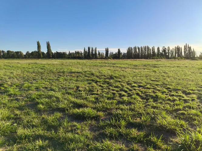 Se Vende Parcelas, 5.000 Mt2, Camino El Peral (132185)