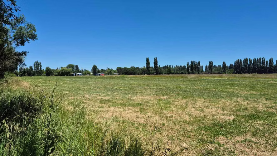 Se Vende Parcelas, 5.000 Mt2, Camino El Peral (132185)