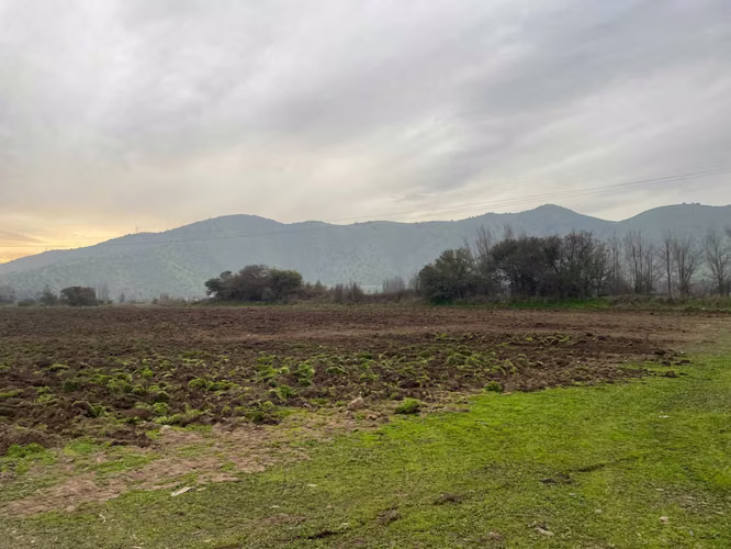 Inmobiliaria // Oportunidad (132224)