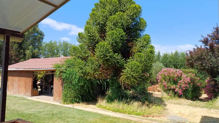Casona en Lago Rapel Los Coipos - Imagen 24