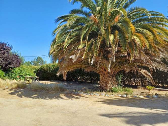 Casona en Lago Rapel Los Coipos - Imagen 11
