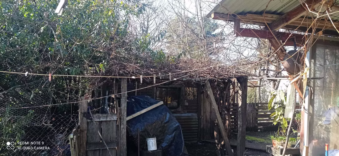 Terreno Ideal para Proyecto Inmobiliario (132362)