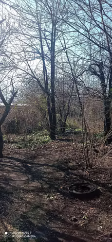 Terreno Ideal para Proyecto Inmobiliario (132362)