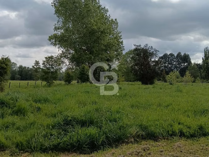 Propiedad en venta a solo 20 minutos del Lago Ranco