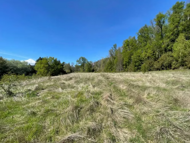 Terreno en venta ubicado en Camino Villarrica a Pucón