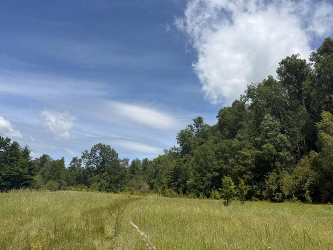 Terreno en venta ubicado en Camino Villarrica a Pucón