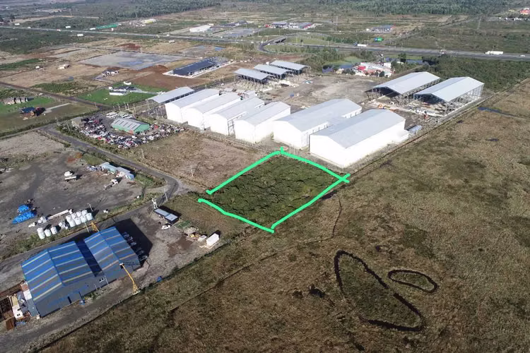Terreno industrial, excelente ubicación (132570)
