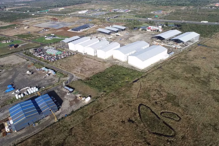 Terreno industrial, excelente ubicación (132570)