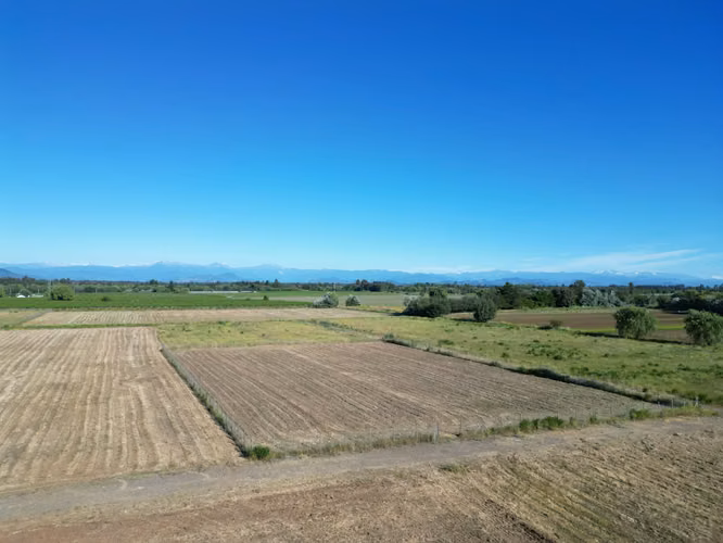 LOTEO EN CASAS DE SAN VICENTE - Imagen 2