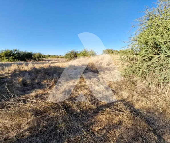 Oportunidad Única en Zona de Alta Demanda (132826) - Imagen 7