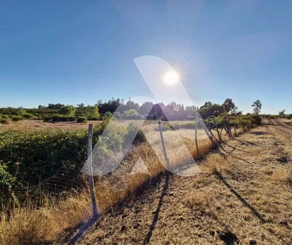 Oportunidad Única en Zona de Alta Demanda (132826) - Imagen 13