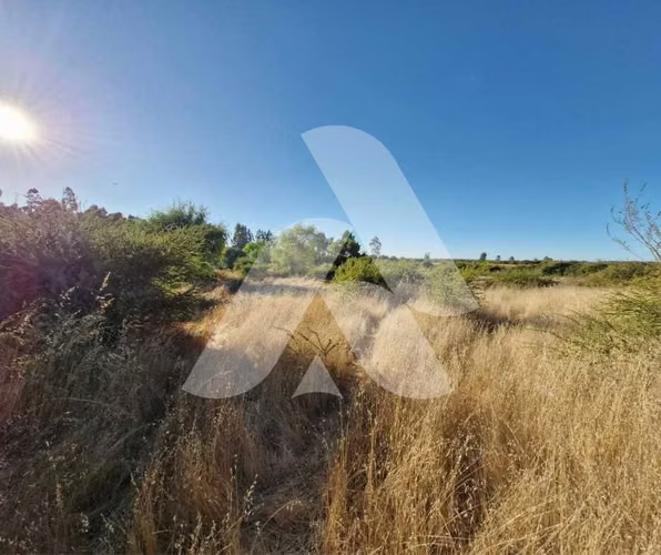 Oportunidad Única en Zona de Alta Demanda (132826) - Imagen 17