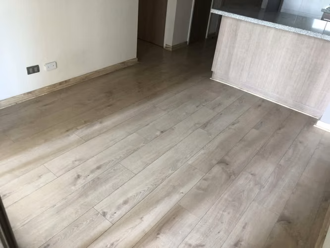 Radal 66 (1 Est /1 Bod)
