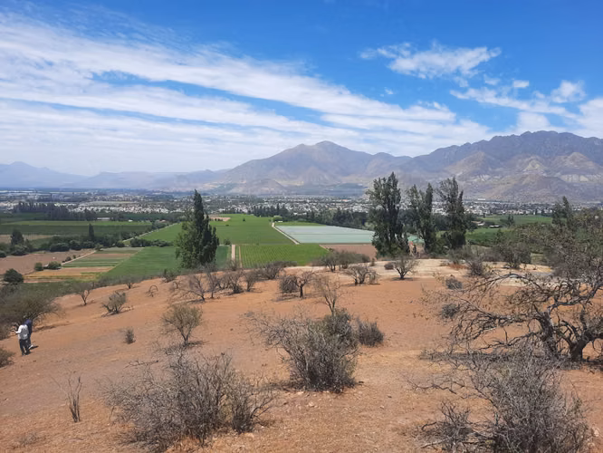 Vendo 5000 m2 parcela San Felipe - Imagen 5