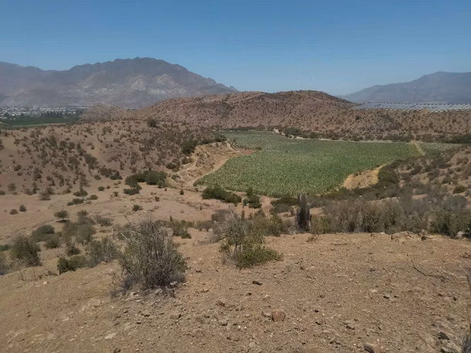 Vendo 5000 m2 parcela San Felipe - Imagen 10