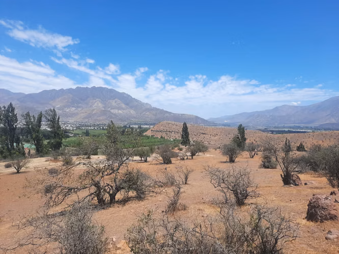 Vendo 5000 m2 parcela San Felipe - Imagen 8