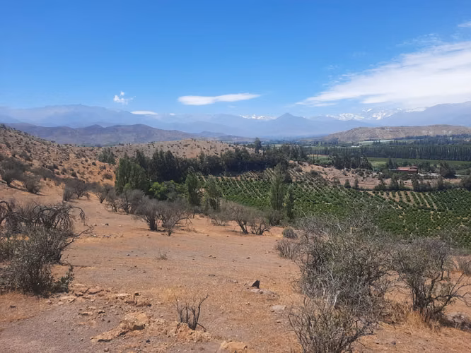 Vendo 5000 m2 parcela San Felipe - Imagen 7