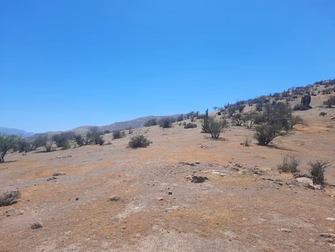 Vendo 5000 m2 parcela San Felipe - Imagen 4