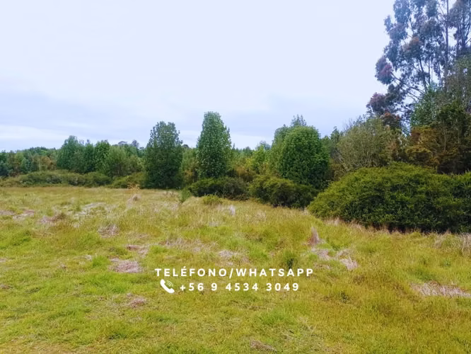 Parcela a pocos metros del lago Tarahuin comuna de Chonchi, Chiloé