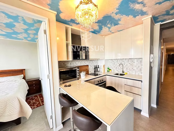 Moderno Depto con Vista al Calle Calle (133380)