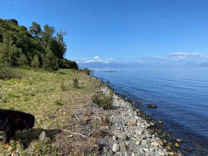 Hermosa propiedad orilla Lago Llanquihue (133567)