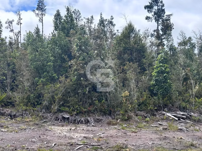 En venta parcela en Los Maderos a 10 kms de Alerce