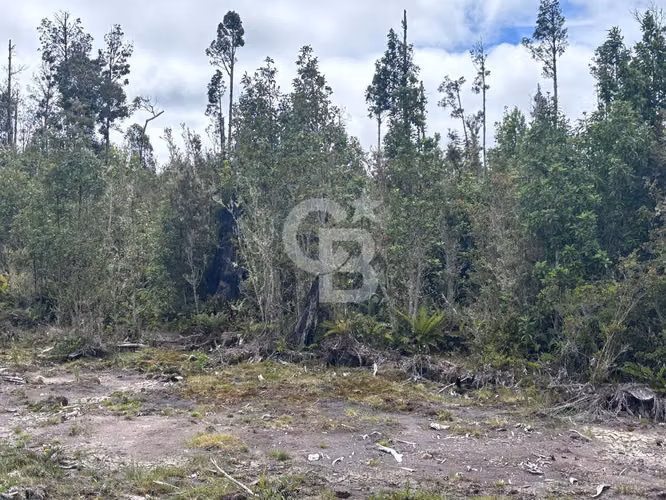 En venta parcela en Los Maderos a 10 kms de Alerce