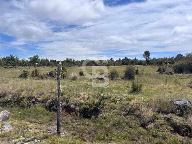 En venta parcela Colonia La Poza