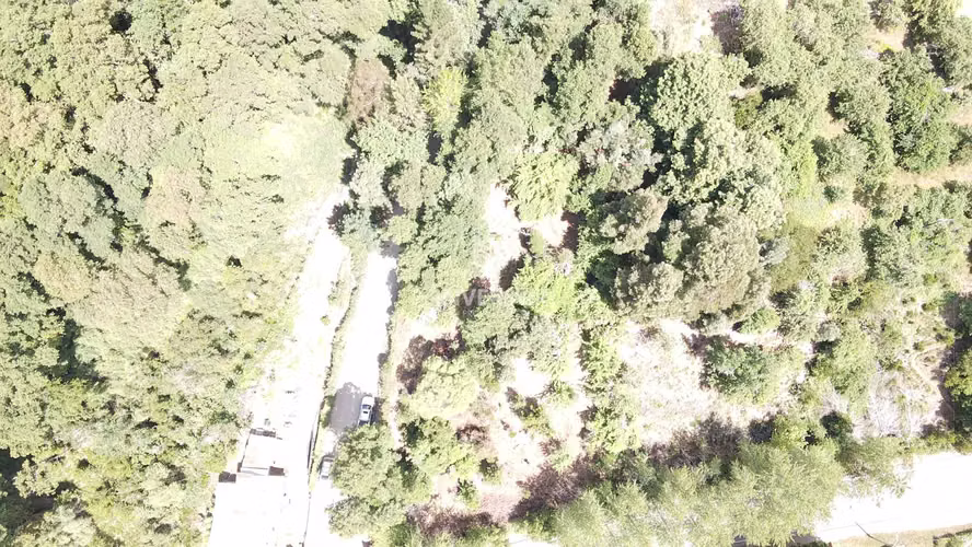 Hermoso terreno en ruta a Valdivia (133760)