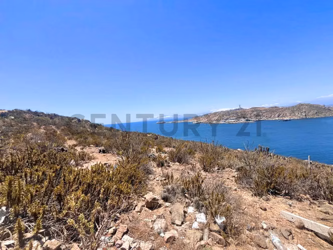 Se vende terreno sector La Herradura, Coquimbo - Imagen 5