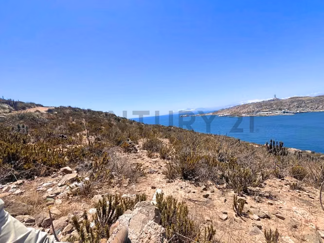 Se vende terreno sector La Herradura, Coquimbo - Imagen 2