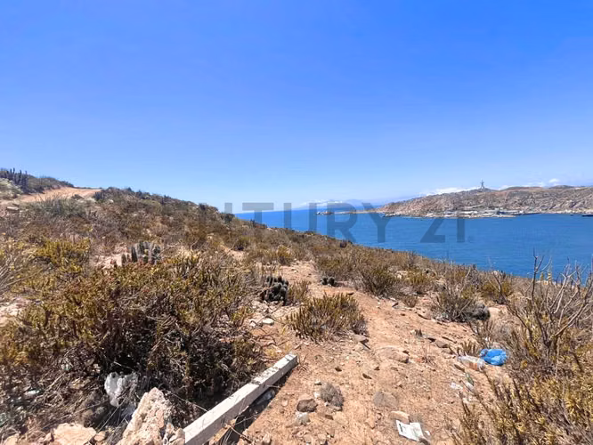 Se vende terreno sector La Herradura, Coquimbo - Imagen 3