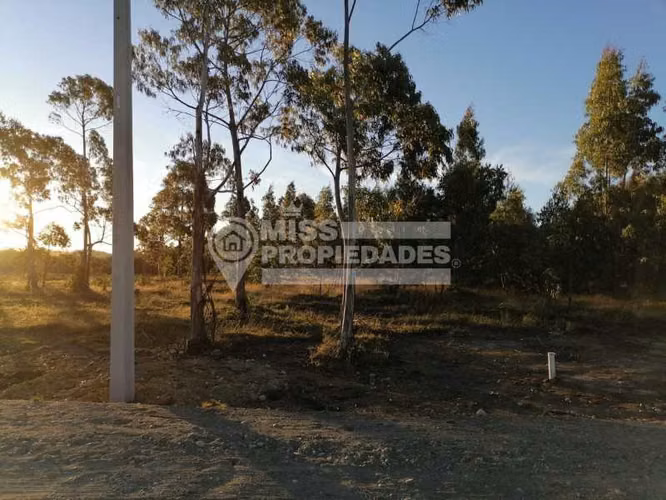VENDE TERRENO - PUERTO MONTT - Imagen 4