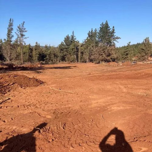 Parcela en Pichilemu (133840)