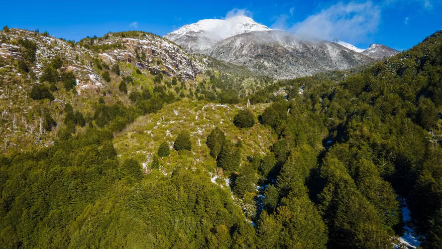 Terreno de 1 hectárea con Bosque Nativo (134033)