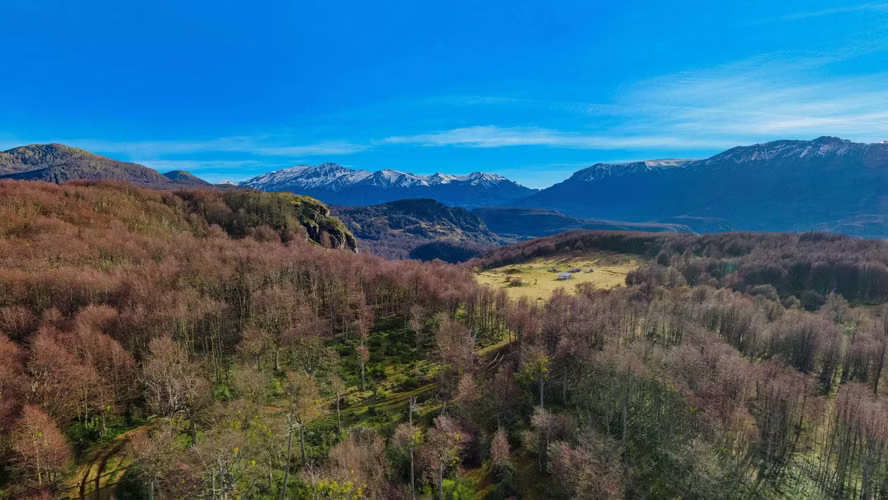 Terreno de 5.000 m2 cercano a Coyhaique (134038)