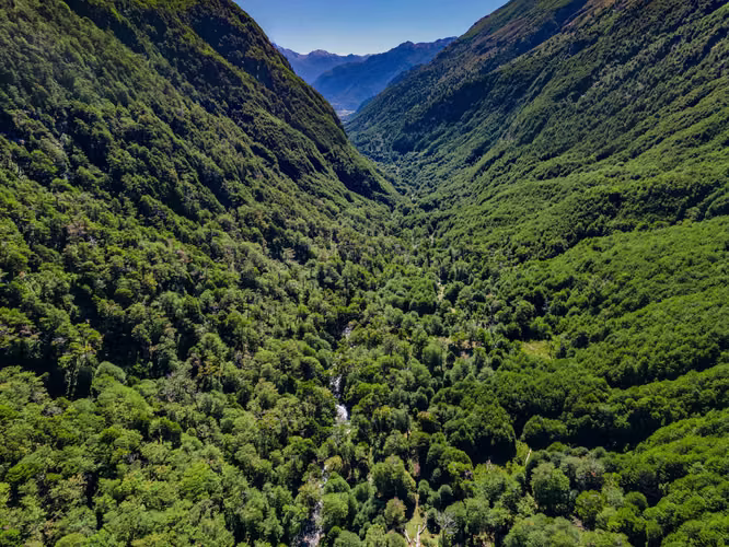 Terreno de 9 hectáreas con bosque nativo (134040)