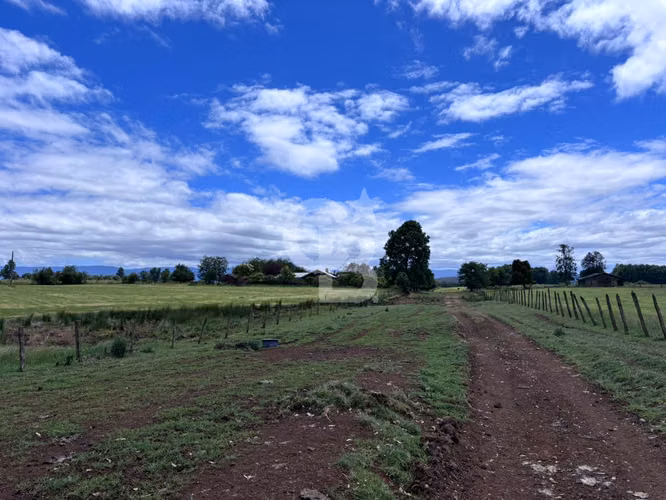 Campo de 26ha a minutos de Fresia con casa