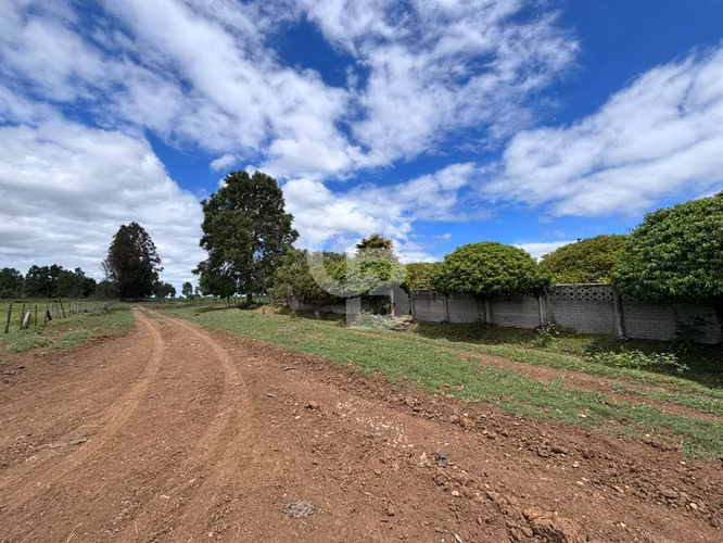 Campo de 26ha a minutos de Fresia con casa
