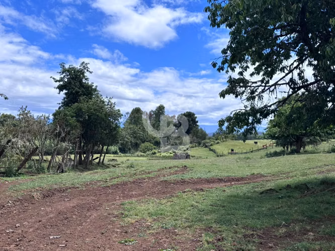 Campo de 26ha a minutos de Fresia con casa